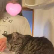 ヒメ日記 2025/10/11 12:34 投稿 のあ 西船人妻花壇