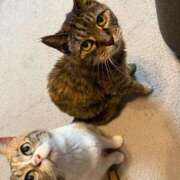 ヒメ日記 2025/10/14 09:19 投稿 のあ 西船人妻花壇