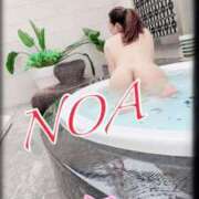 ヒメ日記 2026/01/03 17:38 投稿 のあ 西船人妻花壇