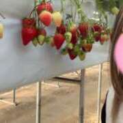 ヒメ日記 2026/03/01 13:14 投稿 のあ 西船人妻花壇