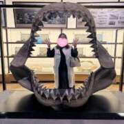 ヒメ日記 2026/03/05 21:58 投稿 のあ 西船人妻花壇