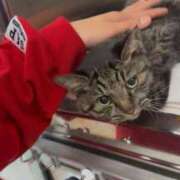 ヒメ日記 2026/03/22 15:17 投稿 のあ 西船人妻花壇