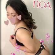 ヒメ日記 2026/03/28 08:22 投稿 のあ 西船人妻花壇