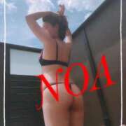 ヒメ日記 2026/03/29 10:45 投稿 のあ 西船人妻花壇