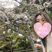 ヒメ日記 2026/03/29 15:09 投稿 のあ 西船人妻花壇