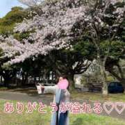 ヒメ日記 2026/09/28 10:51 投稿 のあ 西船人妻花壇