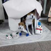 ヒメ日記 2025/01/29 20:29 投稿 あそび 西船人妻花壇