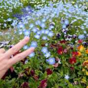 ヒメ日記 2025/05/01 16:08 投稿 あそび 西船人妻花壇