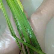 ヒメ日記 2025/05/06 09:54 投稿 あそび 西船人妻花壇