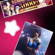 ヒメ日記 2026/03/19 09:41 投稿 あそび 西船人妻花壇