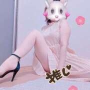 ヒメ日記 2026/04/06 23:42 投稿 あそび 西船人妻花壇