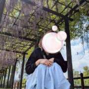 ヒメ日記 2026/04/27 11:15 投稿 あそび 西船人妻花壇