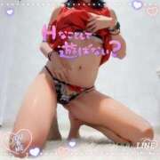 ヒメ日記 2025/03/09 02:53 投稿 ななお 西船人妻花壇