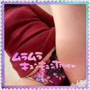 ヒメ日記 2025/04/07 11:01 投稿 ななお 西船人妻花壇