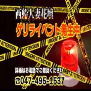 ヒメ日記 2025/11/24 21:17 投稿 ななお 西船人妻花壇