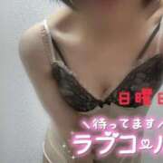 ヒメ日記 2025/04/19 16:59 投稿 あすな 西船人妻花壇