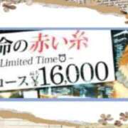 ヒメ日記 2025/05/21 18:03 投稿 あすな 西船人妻花壇