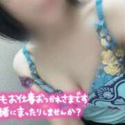 ヒメ日記 2025/08/01 23:44 投稿 あすな 西船人妻花壇