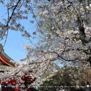 ヒメ日記 2026/03/30 15:44 投稿 あすな 西船人妻花壇