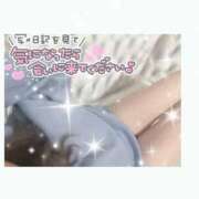 ヒメ日記 2024/12/13 20:26 投稿 みく 西船人妻花壇