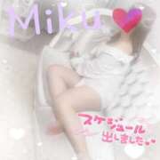 ヒメ日記 2025/08/29 10:38 投稿 みく 西船人妻花壇