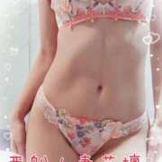 ヒメ日記 2025/05/22 19:23 投稿 えみ 西船人妻花壇