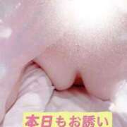 ヒメ日記 2026/01/30 06:53 投稿 かづき 西船人妻花壇