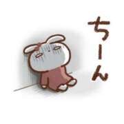 ヒメ日記 2026/10/20 08:34 投稿 かづき 西船人妻花壇