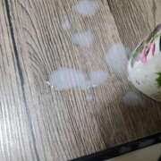 ヒメ日記 2025/03/07 08:02 投稿 あゆみ 西船人妻花壇