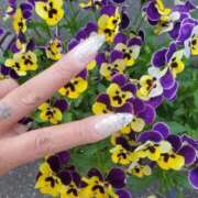 ヒメ日記 2025/03/24 07:01 投稿 あゆみ 西船人妻花壇