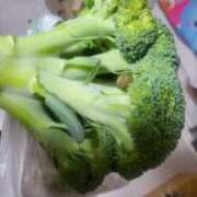 ヒメ日記 2025/03/24 17:02 投稿 あゆみ 西船人妻花壇