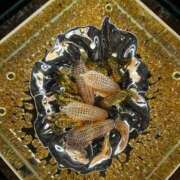 ヒメ日記 2025/03/31 22:02 投稿 あゆみ 西船人妻花壇