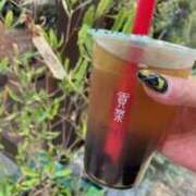 ヒメ日記 2025/04/08 13:01 投稿 あゆみ 西船人妻花壇