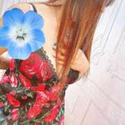 ヒメ日記 2025/04/14 06:00 投稿 あゆみ 西船人妻花壇