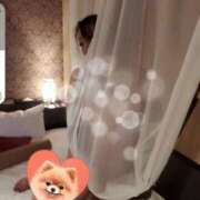 ヒメ日記 2025/04/16 08:02 投稿 あゆみ 西船人妻花壇