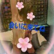 ヒメ日記 2025/11/13 08:44 投稿 あゆみ 西船人妻花壇