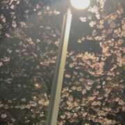 ヒメ日記 2026/03/31 20:52 投稿 あゆみ 西船人妻花壇