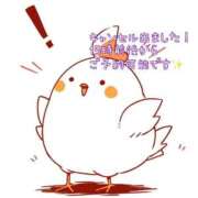 ヒメ日記 2025/06/28 12:56 投稿 おと 西船人妻花壇