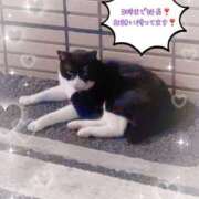 ヒメ日記 2025/08/26 22:01 投稿 おと 西船人妻花壇