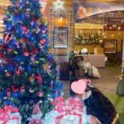 ヒメ日記 2025/12/22 18:23 投稿 おと 西船人妻花壇