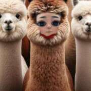 ヒメ日記 2024/12/10 01:45 投稿 いろは 西船人妻花壇