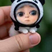 ヒメ日記 2025/03/13 13:50 投稿 いろは 西船人妻花壇