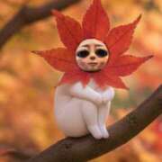 ヒメ日記 2025/11/27 11:47 投稿 いろは 西船人妻花壇