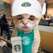 ヒメ日記 2026/01/11 12:42 投稿 いろは 西船人妻花壇