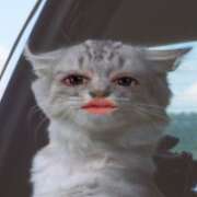 ヒメ日記 2026/04/06 16:48 投稿 いろは 西船人妻花壇