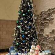 ヒメ日記 2024/12/25 22:26 投稿 ふみか 西船人妻花壇