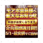 ヒメ日記 2025/05/01 14:58 投稿 さよ 西船人妻花壇