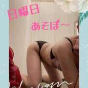 ヒメ日記 2025/05/11 00:49 投稿 さよ 西船人妻花壇