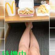ヒメ日記 2025/07/29 15:30 投稿 さよ 西船人妻花壇