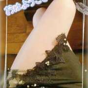 ヒメ日記 2026/04/21 11:52 投稿 さよ 西船人妻花壇